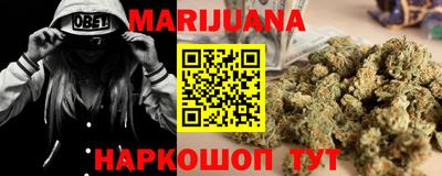 сатива Кингисепп