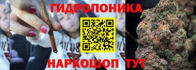 соль ск Кинель