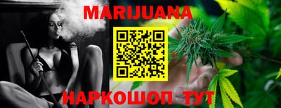 сатива Кингисепп