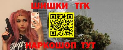 сатива Кингисепп