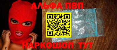 сатива Кингисепп