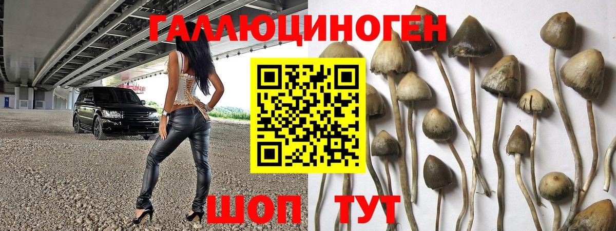 Псилоцибиновые грибы GOLDEN TEACHER  Вход с VPN  Красноармейск 